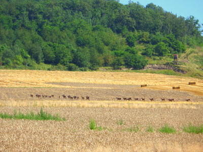 Familie Wild bei einem Ausflug