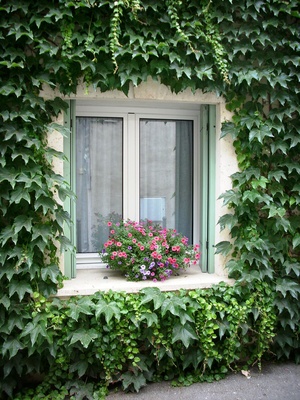 Fenster in einer Straße in Aigues-Mortes