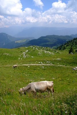 Ausblick in die Dolomiten