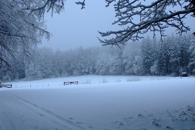 Schneelandschaft