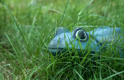 Der Grüne Frosch