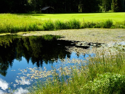 Biotop mit Teich und Hütte