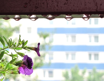 Regentropfen auf dem Balkon