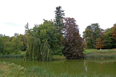 Schlosspark zu Putbus auf Rügen