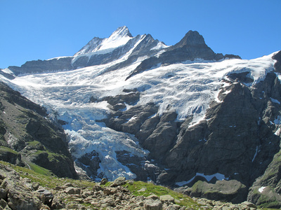 Schreckhorn und Lauteraarhorn