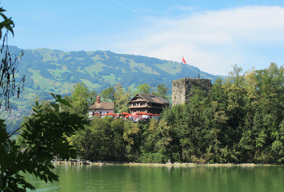 Romantische Insel Schwanau