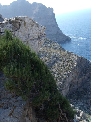 Cap de Formentor Mallorca