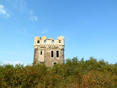 Burg Wernerseck 01