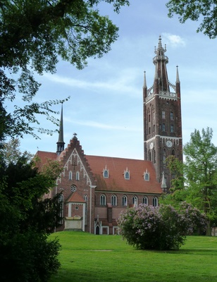 Kirche St. Petri im Wörlitzer Park