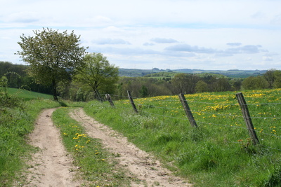 Westpfäzer Bergland_2