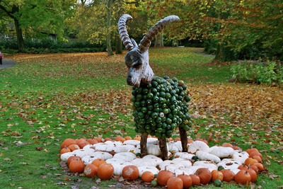 Widder oder Steinbock