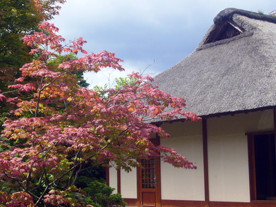 Japanisches Teehaus im Herbst