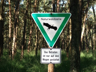 Naturwaldzelle