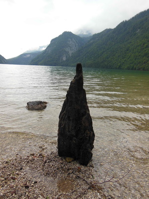 Stein im Königssee,