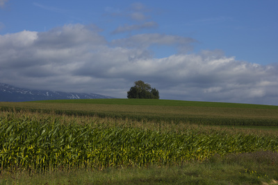 Der Sommer ist vorbei