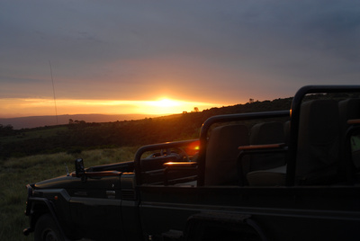 Safaritour mit Jeep - Südafrika