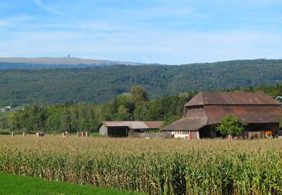 Bauernhof am Bielersee