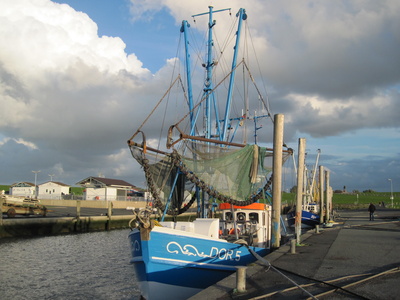 Kutter im Hafen