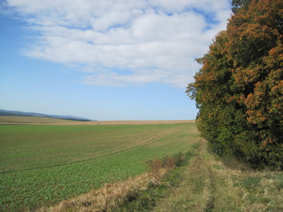 Herbst auf dem Land