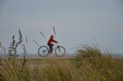 Junge am Meer mit Fahrrad