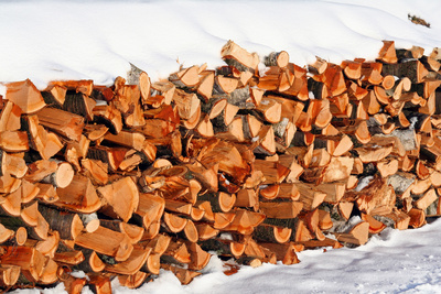 frisches Brennholz im Schnee