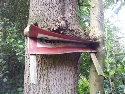 Baum frißt Schild