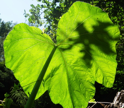 Licht und Schatten