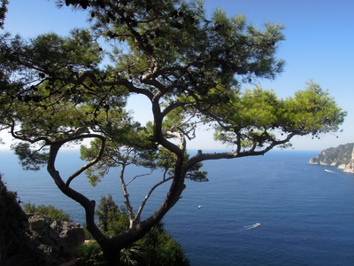 Auf Capri 2