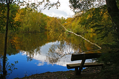 Herbst am See Herbst am See