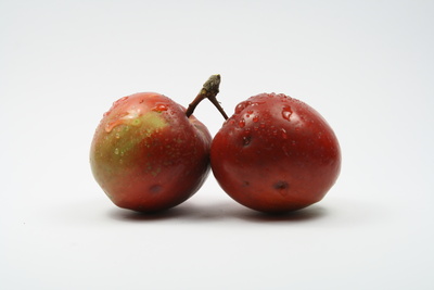 Zwei Bio Äpfel