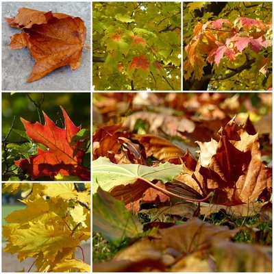 Herbstfarben