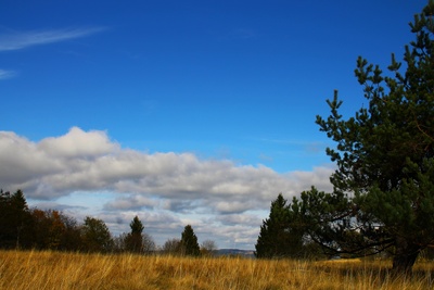 Kreuzberg in der Rhön 01