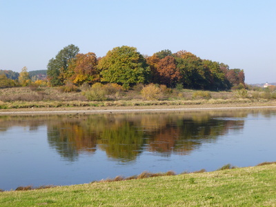 Herbst an der Elbe