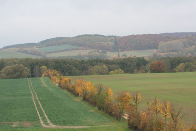 Herbstlandschaft