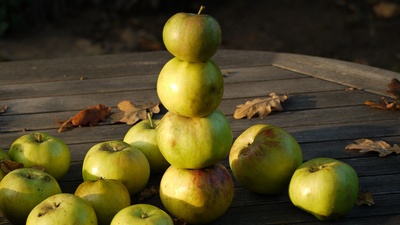 Apfelmännchen