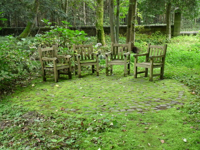 vier Stühle im grünen