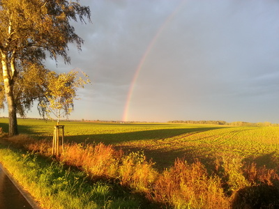 so schön zeigt sich der Herbst