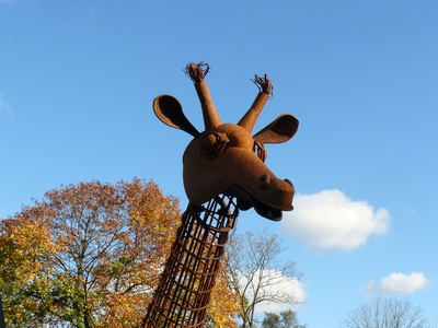 Giraffe im Herbst