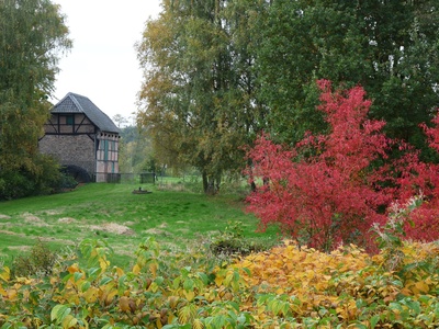 Alte Mühle im Herbst