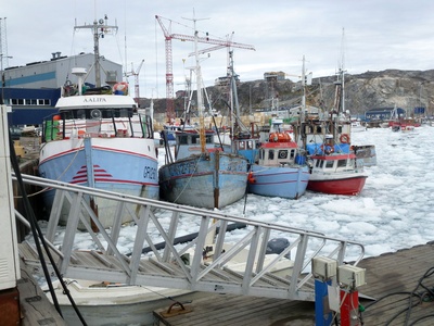 Hafen in Ilulissat ( Grönland )