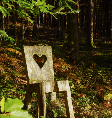 Stuhl der Liebe am Waldrand_2