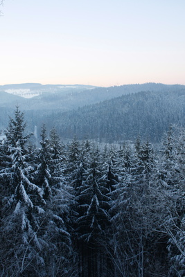 Winterwälder