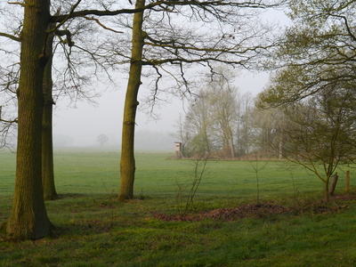 Nebel über dem Land