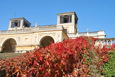 Herbstlaub vor der Orangerie in Sans souci