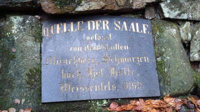 Quelle der Saale