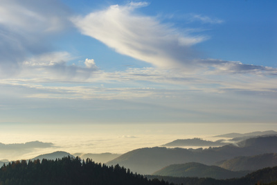 Schwarzwald - über den Wolken