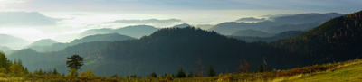 Schwarzwald - Panoramablick in die Rheinebene