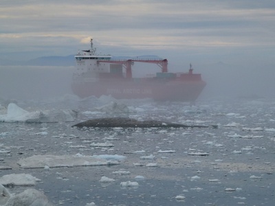 Ein Schiff im Nebel bei Ilulissat  ( Grönland )