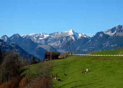 Alpenidylle bei Erlenbach im Simmental