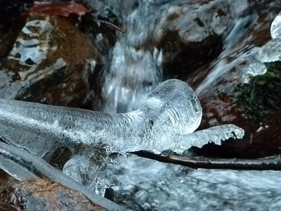 Eisskulptur: Salamander